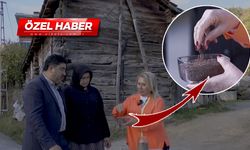 Tam bir şifa kaynağı! Yoğurt ile ayrı bal ile ayrı faydalı...