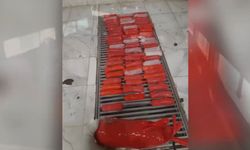 Yapılan "hayvanlık" pes dedirttirdi