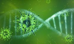 Türkiye’de virüs alarmı! Hayati risk oluşturuyor