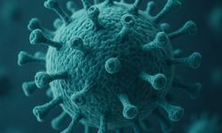 Koronavirüs Bilim Kurulu üyesi uyardı: Vakalar artıyor dikkat