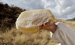 Kilosu 11 bin 118 euro! Türk balı rekor kırdı