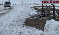 Numune pozitif çıktı! 6 köy 2 mahalle karantinaya alındı