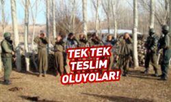 134 PKK'lı teslim oldu! Son veriler paylaşıldı