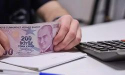 Emeklilere 14 bin TL'ye kadar geri ödemesiz nakit müjdesi