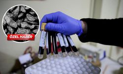 Kansızlığa birebir! Faydaları say say bitmiyor