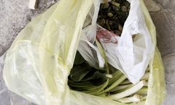 Pazardan bir çuval aldı! Yer yemez fenalaştı... "Çamaşır suyu içmiş gibi oldum"