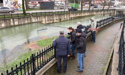 Sakarya’da çevre felaketi! Ölü balıklar su yüzeyini kapladı