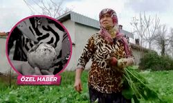 Öksürüğe bire bir! Bal ile birleşince doğal ilaca dönüşüyor