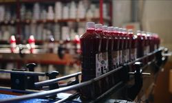 Adanalıları sevindiren haber! Şalgam artık…