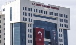 Binlerce personel alınacak! Bakanlık müjdeyi verdi