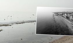 Marmara'da deniz 7 metre çekildi! 'Kral Yolu' ortaya çıktı