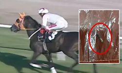 Yarış atını kavurma yapmışlar! CHP'li belediyede büyük skandal