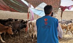 Diyanet açıkladı! Vekaleten kurban kesim bedelleri belli oldu