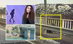 Gülistan Doku öldürüldü mü? Eski valinin oğlu gözaltına alındı