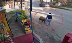 Esnaftan örnek davranış! Kuyuya düşen koyunu böyle kurtardı