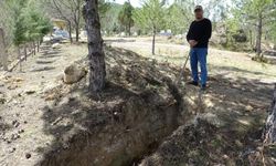 Kedi değil insan ☺️ 9 kez ölümden dönünce bakın ne yaptı!