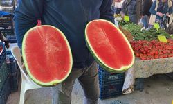 Karpuz sezonu başladı! Fiyatı dikkat çekti