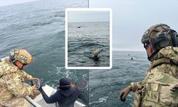 MSB açıkladı: SAS timleri imha etti