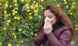 Polen alerjisine karşı kalıcı kalkan!