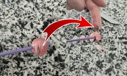 Şekerin tadı kaçtı! Sakız değil taş çıktı