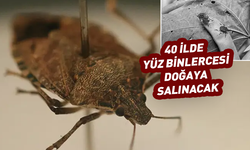 40 ilde yüz binlercesi doğaya salınıyor...