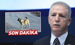 Valilikten belediyelere kritik uyarı! Derhal yerine getirin