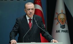 Cumhurbaşkanı Erdoğan'dan ara seçim açıklaması