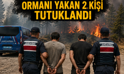 Kaynak yaparken ormanı yakan 2 kişi tutuklandı