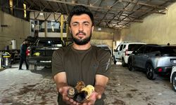 İzlediği belgesel hayatını değiştirdi: Kendi tesisini kurdu