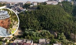 "Şehmus Dede Ormanı" Türkiye'ye örnek oldu
