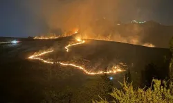 Ankara'da bir günde 140 yangın!