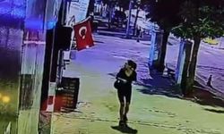 Türk bayrağını ateşe vermişti! Yaptığı yanına kar kalmadı