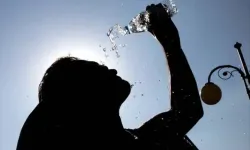 Dünya Ağustos ayında rekor sıcaklık yaşadı!