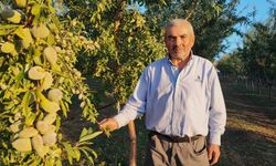 Doktorun tavsiyesi patron etti