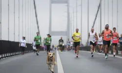 İstanbullular dikkat! Yarın bu yollar trafiğe kapatılacak