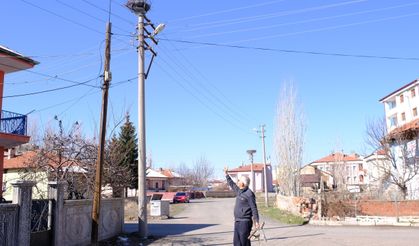 Hayvanseverlerin yüzünü güldüren anlar! Leyleklerin yıkılan evini tekrar yaptı