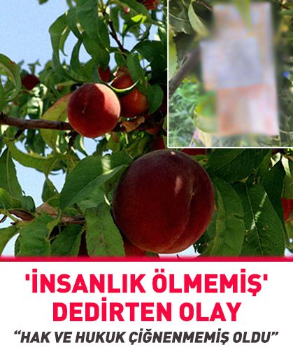 Bursa'da 'insanlık ölmemiş' dedirten olay
