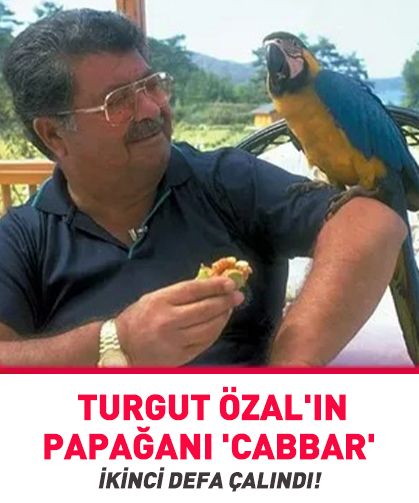 Turgut Özal'ın 58 yaşındaki papağanı 'Cabbar' çalındı...