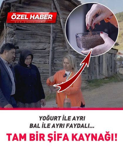 Tam bir şifa kaynağı! Yoğurt ile ayrı bal ile ayrı faydalı...