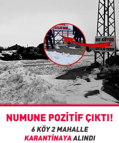 Numune pozitif çıktı! 6 köy 2 mahalle karantinaya alındı
