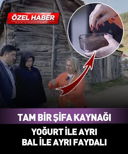 Tam bir şifa kaynağı! Yoğurt ile ayrı bal ile ayrı faydalı...