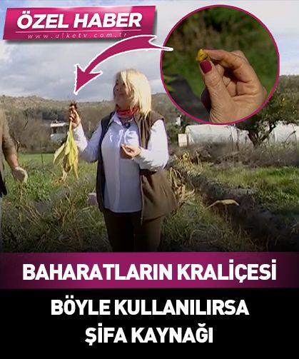 'Baharatların kraliçesi' olarak biliniyor! Zeytinyağı ve karabiberle bin kat daha faydalı