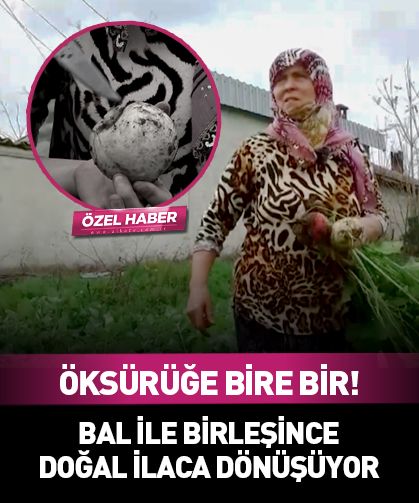 Öksürüğe bire bir! Bal ile birleşince doğal ilaca dönüşüyor