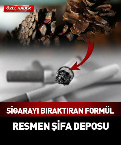 Öksürüğe iyi geliyor, sigarayı bırakmaya yardımcı oluyor