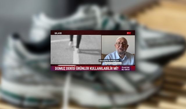 Ünlü ayakkabı markasında domuz derisi skandalı! Kullanmak İslami açıdan caiz mi?