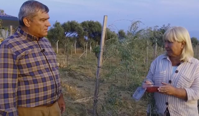 Goji berry meyvesinin bilinmeyen faydası! Tığ gibi yapıyor