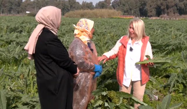 Karaciğer dostu! Enginara özel yemek tarifini Ülke TV'de açıkladı