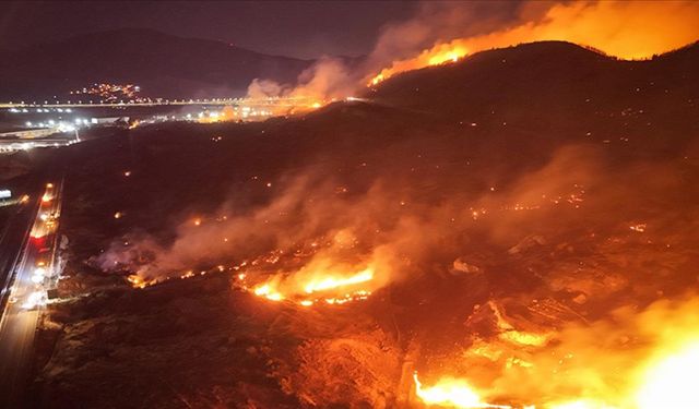 İzmir’de orman yangını! 1 gözaltı kararı