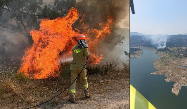 Muğla Yatağan’da orman yangını