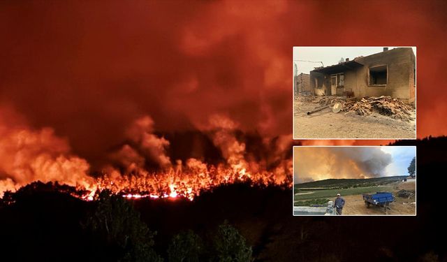Sakarya’daki orman yangını Bilecik’e sıçradı! Alevlerle mücadele devam ediyor